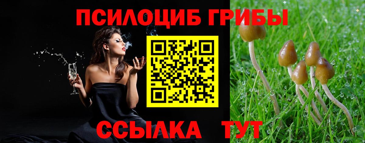 Галлюциногенные грибы мицелий  Псилоцибиновые грибы Magic Shrooms  Туймазы  Вход с VPN 